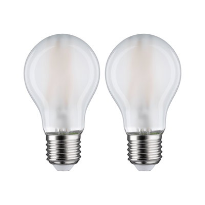Two frosted LED light bulbs with E27 base in clear glass for energy-efficient lighting