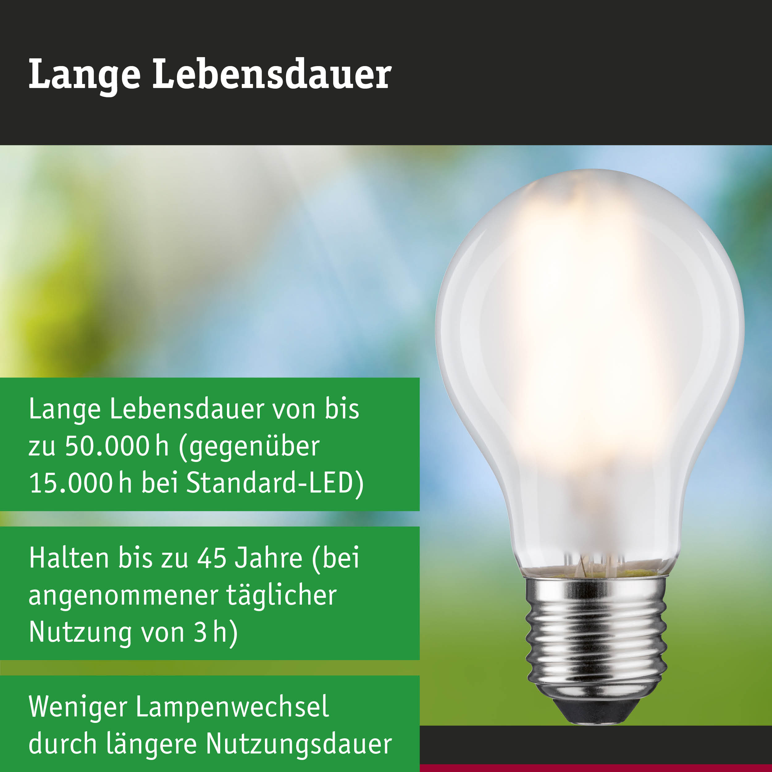 Efficient-Line Filament 230V LED Birne E27 Einzelleuchte 525lm 2,5W 3000K Matt