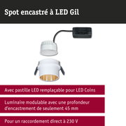 Spot encastré LED blanc avec réflecteur doré et câble noir pour éclairage LED