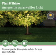 Grüner Baum beleuchtet mit warmweißem Plug & Shine Licht für stimmungsvolle Gartenbeleuchtung