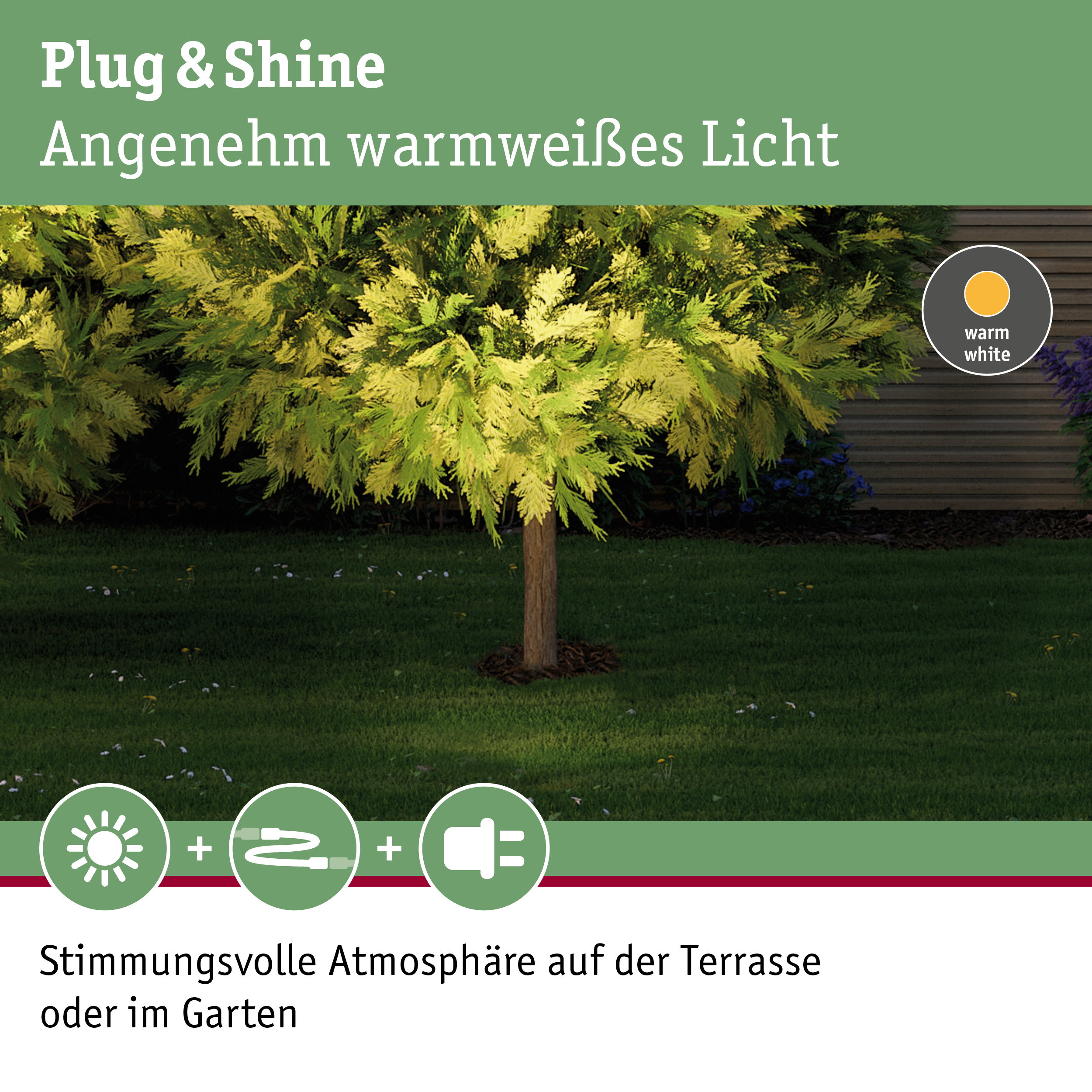 Grüner Baum beleuchtet mit warmweißem Plug & Shine Licht für stimmungsvolle Gartenbeleuchtung
