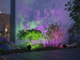 Garden with green shrubs lit by colorful LED garden spotlights for atmospheric outdoor lighting.