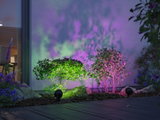 Garden with green shrubs lit by colorful LED garden spotlights for atmospheric outdoor lighting.