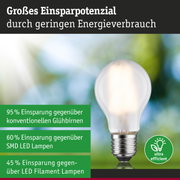 Energiesparlampe mit großem Einsparpotenzial und weißem Glas, energiesparende LED Beleuchtung