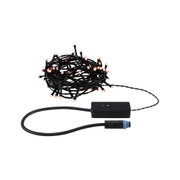 Schwarze LED-Lichterkette mit kleinen roten Leuchtpunkten und Steuergerät für Innen- und Außenbereich