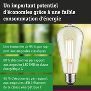 Ampoule LED économique à verre transparent et base argentée pour un éclairage durable efficace