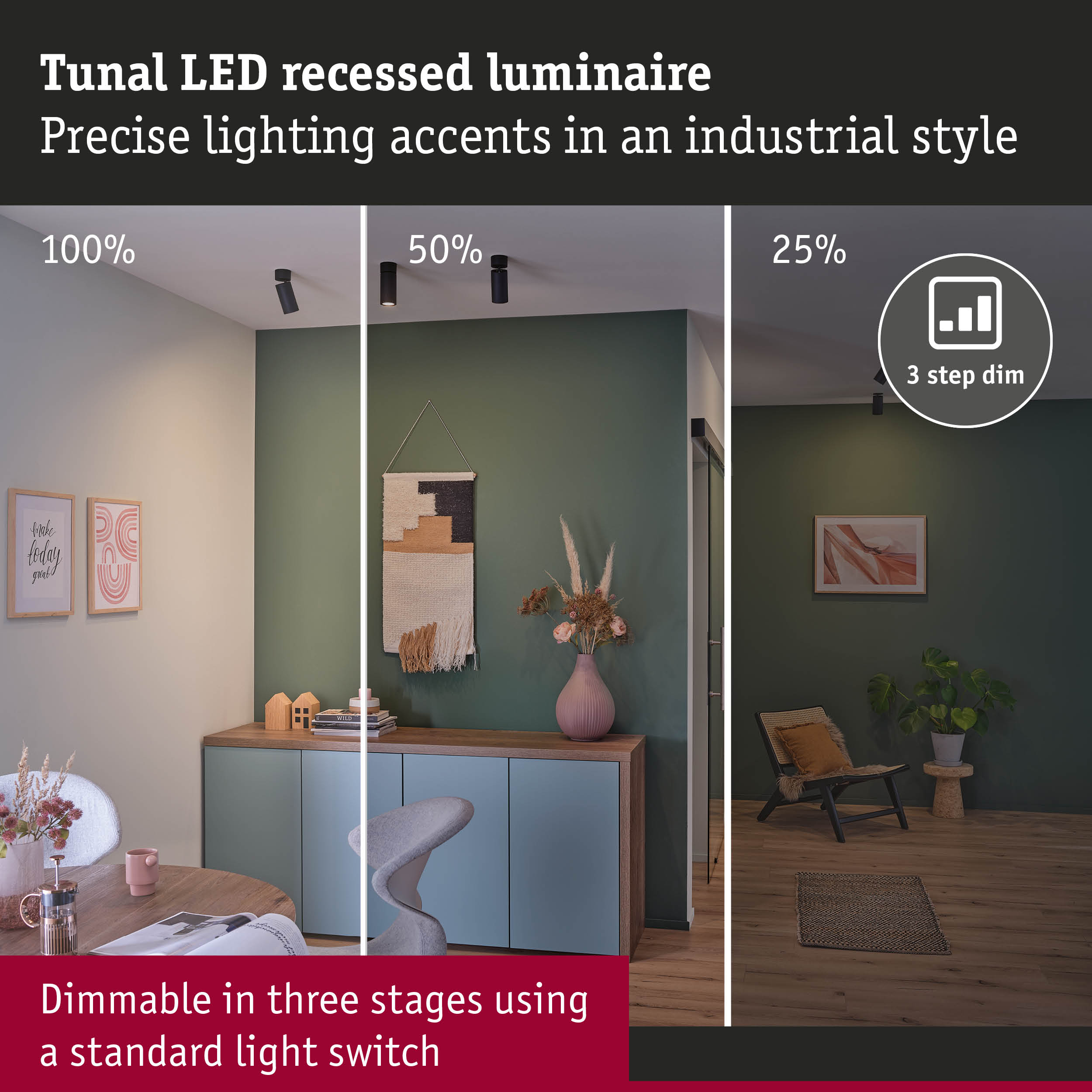 Black Tunal LED ceiling spotlight with three-step dimming for precise industrial style lighting accents