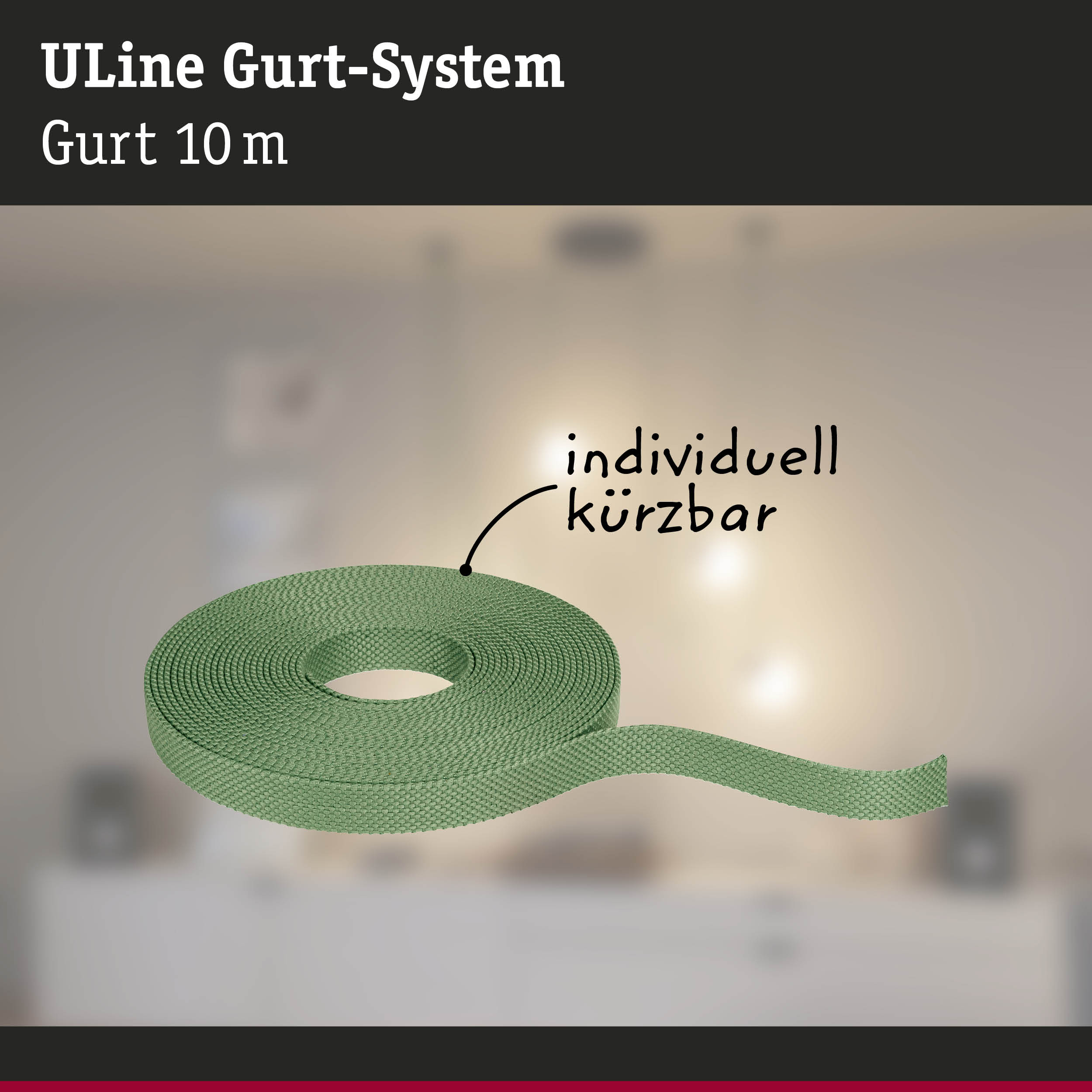 Grüner 10 Meter langer Gurt aus robustem Material für das ULine Gurt-System, individuell kürzbar