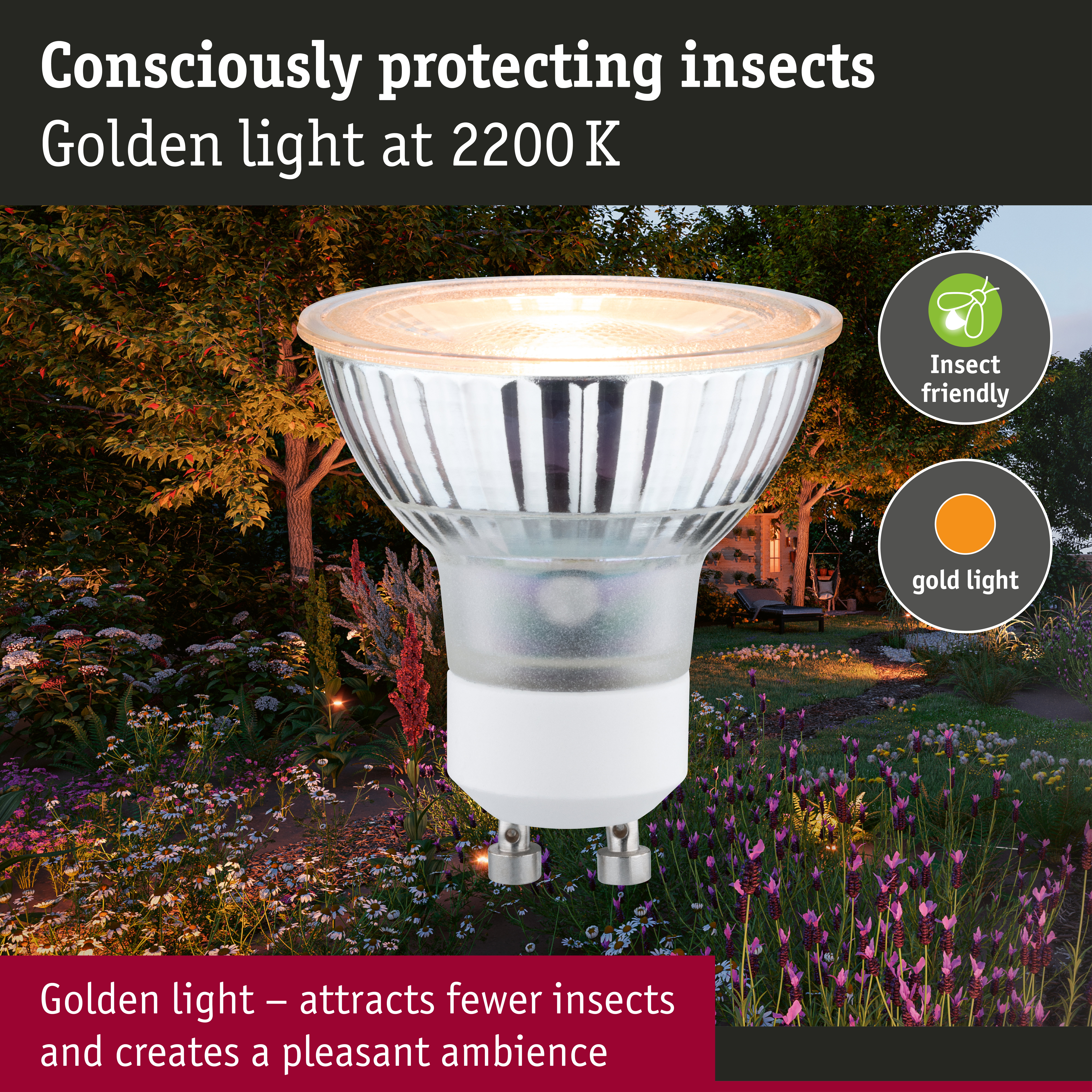230 V Standard LED Reflector GU10 insect friendly 320lm 4,3W 2200K Silver