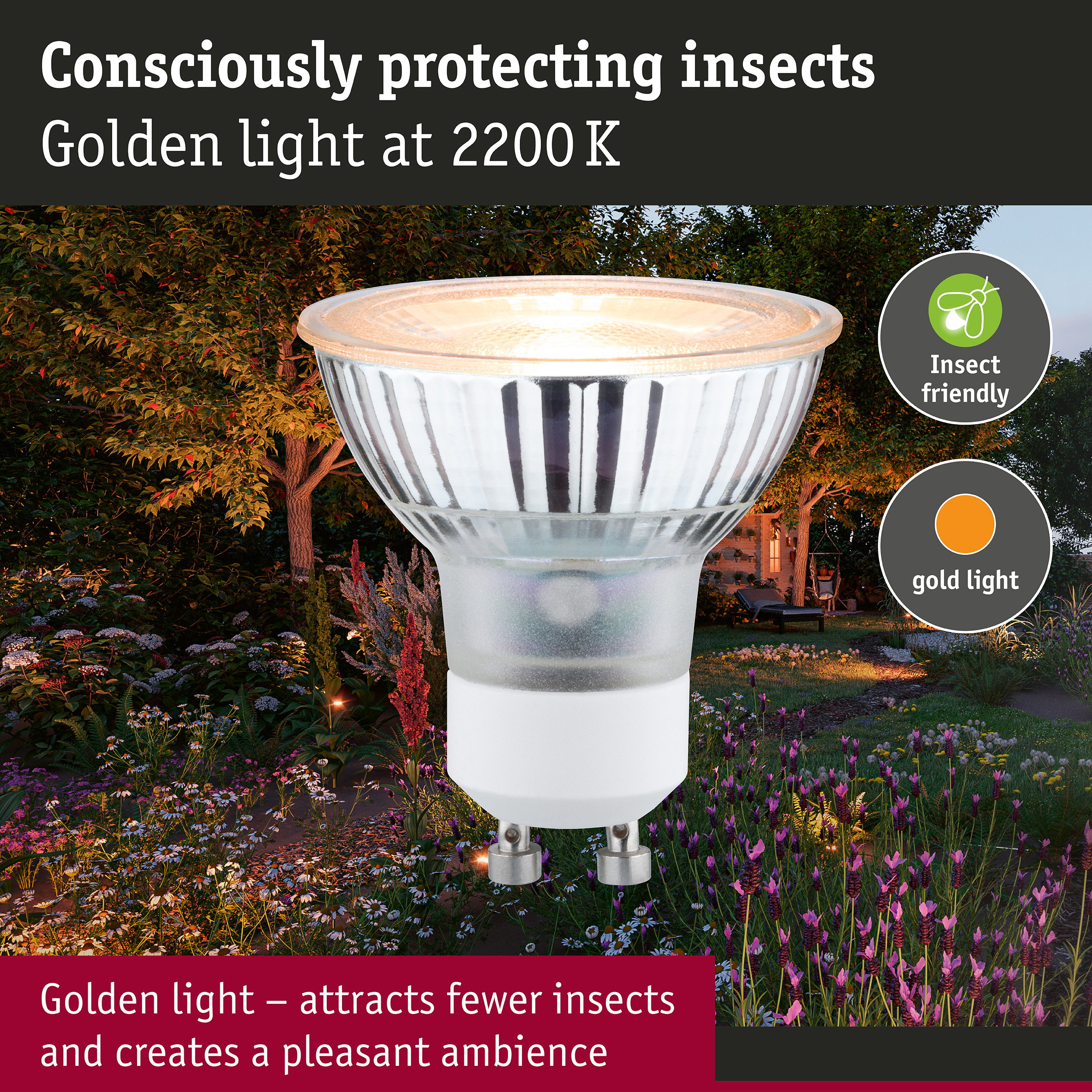 230 V Standard LED Reflector GU10 insect friendly 320lm 4,3W 2200K Silver