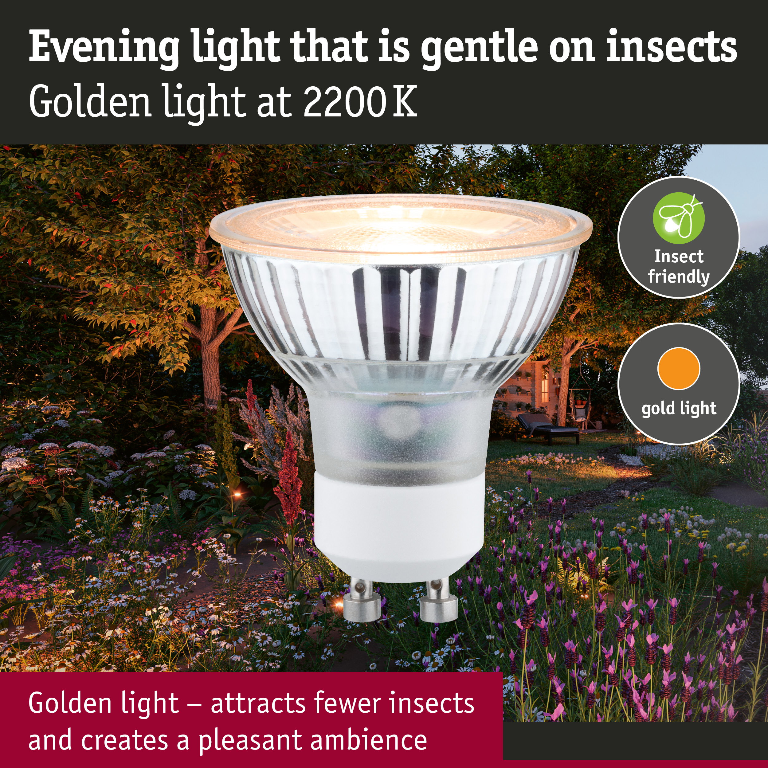 230 V Standard LED Reflector GU10 insect friendly 320lm 4,3W 2200K Silver