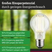 Efficient-Line Filament 230V LED Birne E27 Einzelleuchte 1055lm 5W 3000K Klar