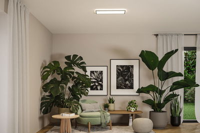 Modernes Wohnzimmer mit rechteckiger Deckenleuchte in Weiß, grüner Sessel und großen Zimmerpflanzen