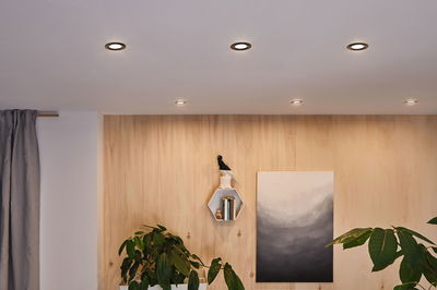 Six round recessed lights with warm white light in white ceiling above wooden panel wall with plants.