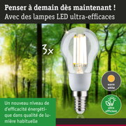 Ampoule LED lumière blanc chaud ultra-efficace sur fond de forêt verte pour économie d'énergie