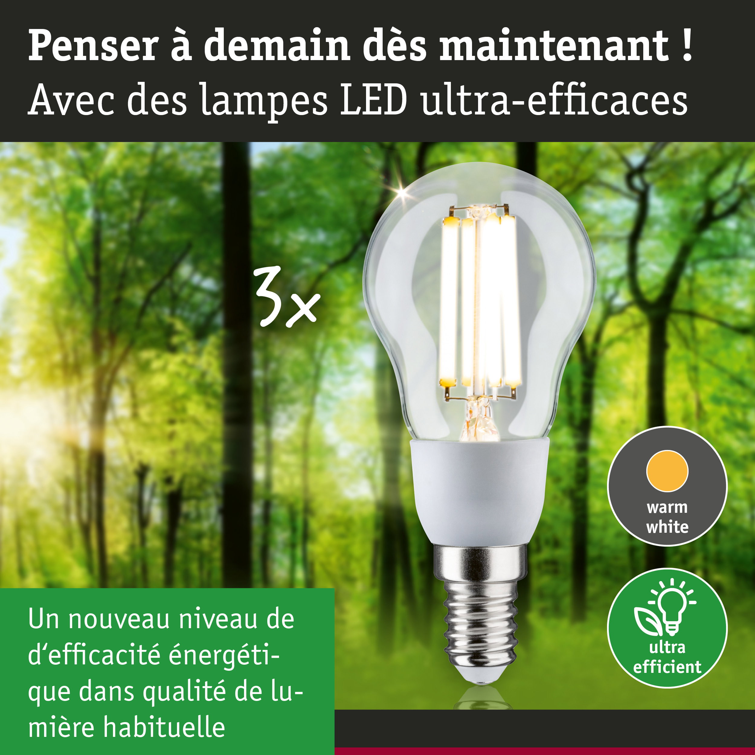 Ampoule LED lumière blanc chaud ultra-efficace sur fond de forêt verte pour économie d'énergie