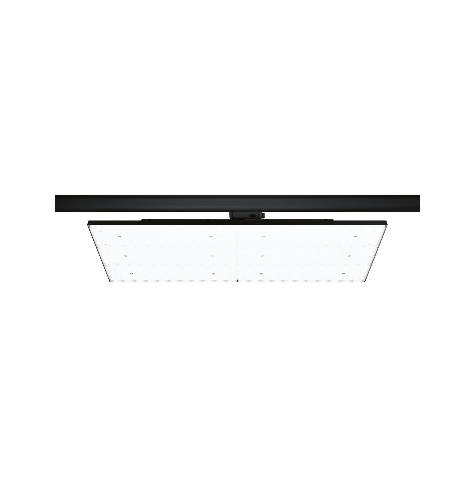 Schwarze LED-Deckenleuchte mit quadratischem, transparentem Diffusor für moderne Raumbeleuchtung