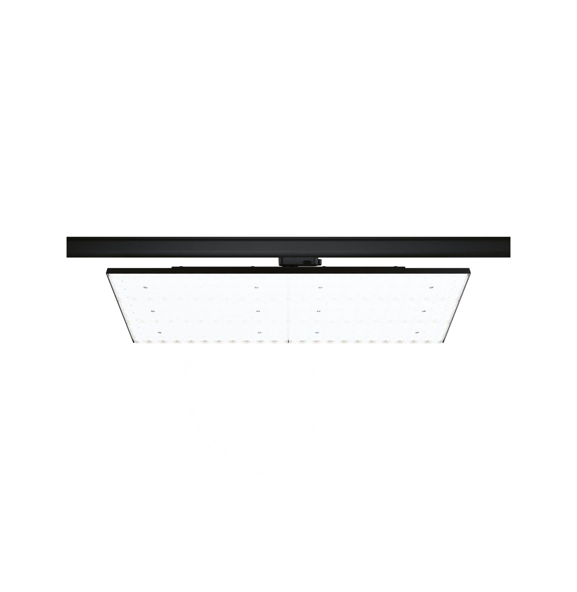 Schwarze LED-Deckenleuchte mit quadratischem, transparentem Diffusor für moderne Raumbeleuchtung