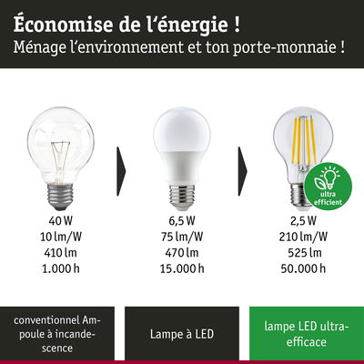 Comparaison ampoule incandescente, lampe LED et LED ultra-efficace avec puissance, lumens et durée de vie pour économiser l'énergie