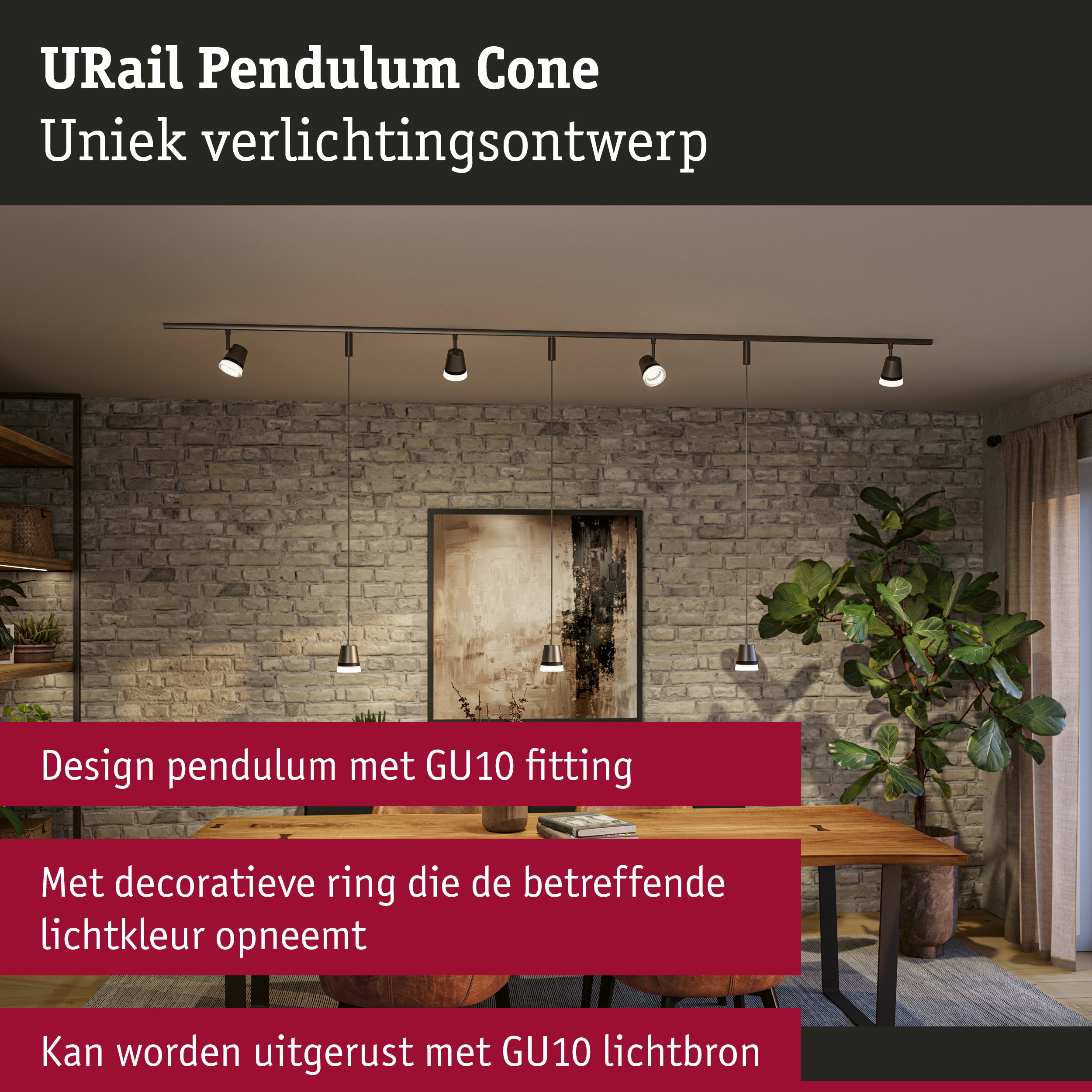 URail Pendels Cone GU10 max. 10W dimbaar 230V Titaanium