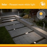 Solar LED ground lights with warm white light on grey stone path for garden lighting