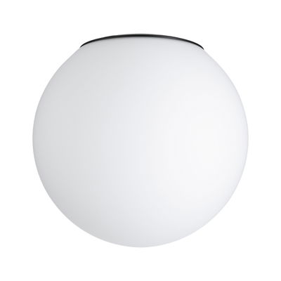Round ceiling light with white glass and black rim, modern LED indoor lighting fixture