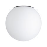 Round ceiling light with white glass and black rim, modern LED indoor lighting fixture