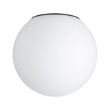 Round ceiling light with white glass and black rim, modern LED indoor lighting fixture