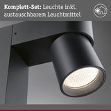 Schwarze LED-Außenwandleuchte mit austauschbarem Leuchtmittel für moderne Hausbeleuchtung