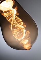 Close-up of warm white LED bulb with spiral filament and amber glass for decorative lighting