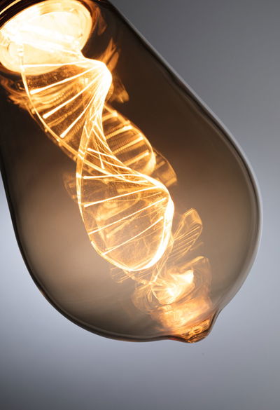 Close-up of warm white LED bulb with spiral filament and amber glass for decorative lighting