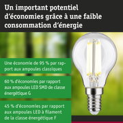 Ampoule LED économique en verre transparent avec base argentée sur fond flou vert et bleu