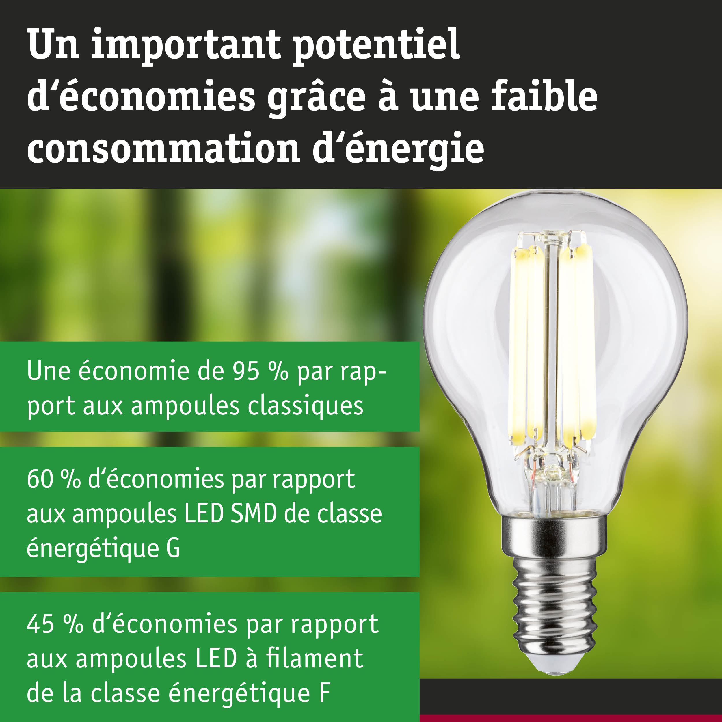 Ampoule LED économique en verre transparent avec base argentée sur fond flou vert et bleu