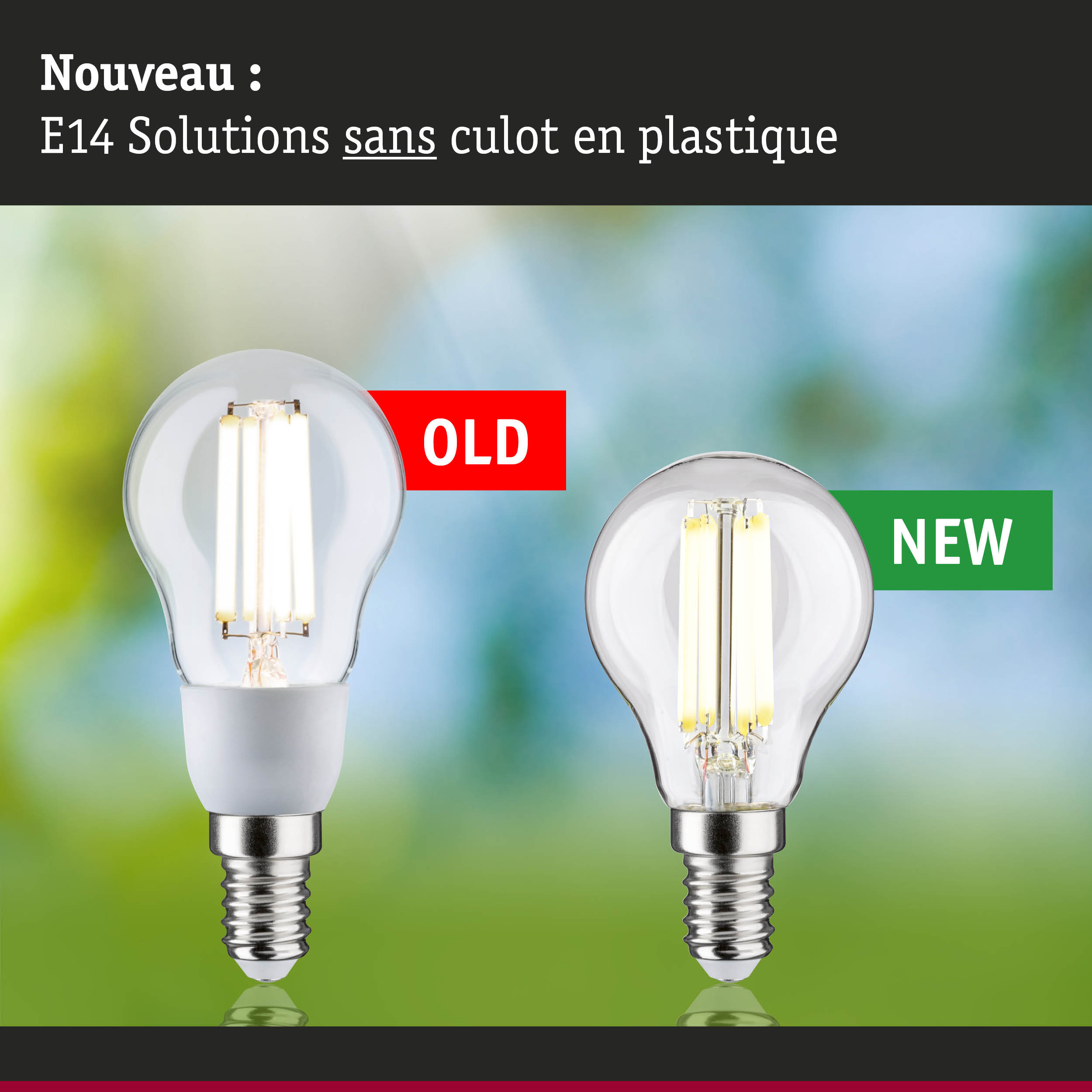 Comparaison des anciennes et nouvelles ampoules LED E14 sans culot plastique en verre transparent