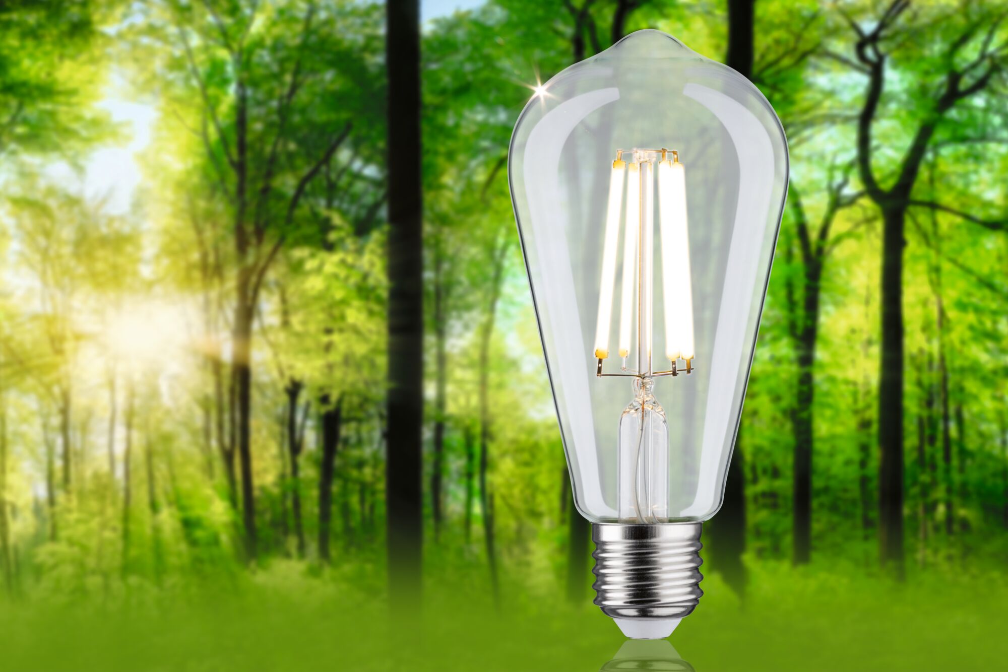 Clear LED filament bulb with E27 base in front of green forest background for energy-saving lighting