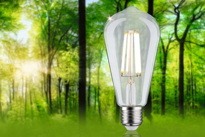 Klar LED-filamentpære med E27-fatning foran grøn skovbaggrund til energibesparende belysning