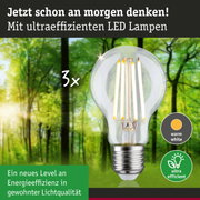 LED-Glühbirne mit warmweißem Licht und ultraeffizientem Energieverbrauch vor grünem Waldhintergrund