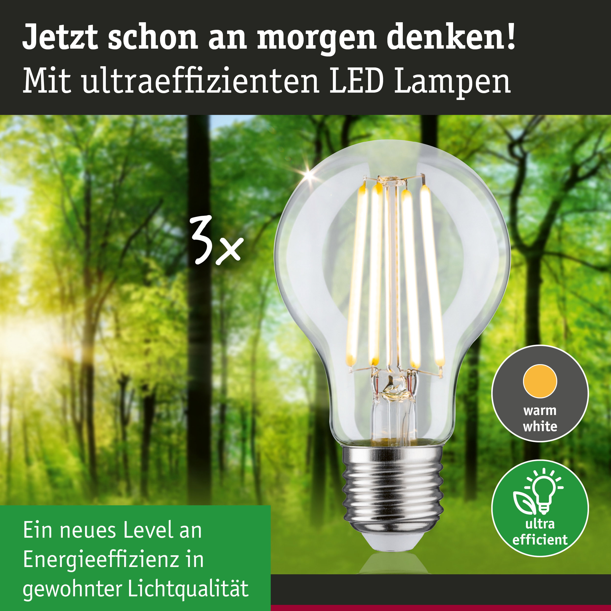 LED-Glühbirne mit warmweißem Licht und ultraeffizientem Energieverbrauch vor grünem Waldhintergrund