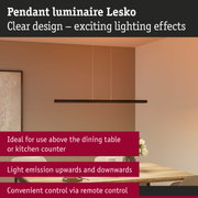 Black Lesko metal pendant light with clear design, perfect for dining table and kitchen lighting