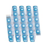 Flexible LED strip with blue lights and adhesive backing for versatile lighting solutions.
