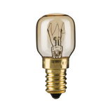 Kleine Glühlampe mit transparentem Glas und goldfarbenem Schraubsockel für Beleuchtungslösungen