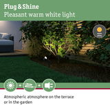 Outdoor spotlight with warm white light illuminating green plants by wooden fence in garden at night