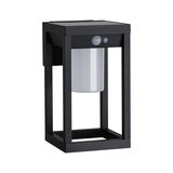Applique murale extérieure noire en métal avec détecteur de mouvement et diffuseur blanc pour jardin