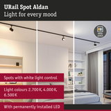 URail Spot Aldan black LED rail light with white switch for adjustable home lighting