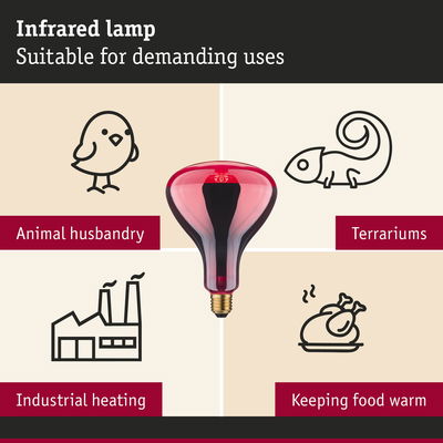 Red infrared lamp suitable for animal husbandry, terrariums, industrial heating, and keeping food warm