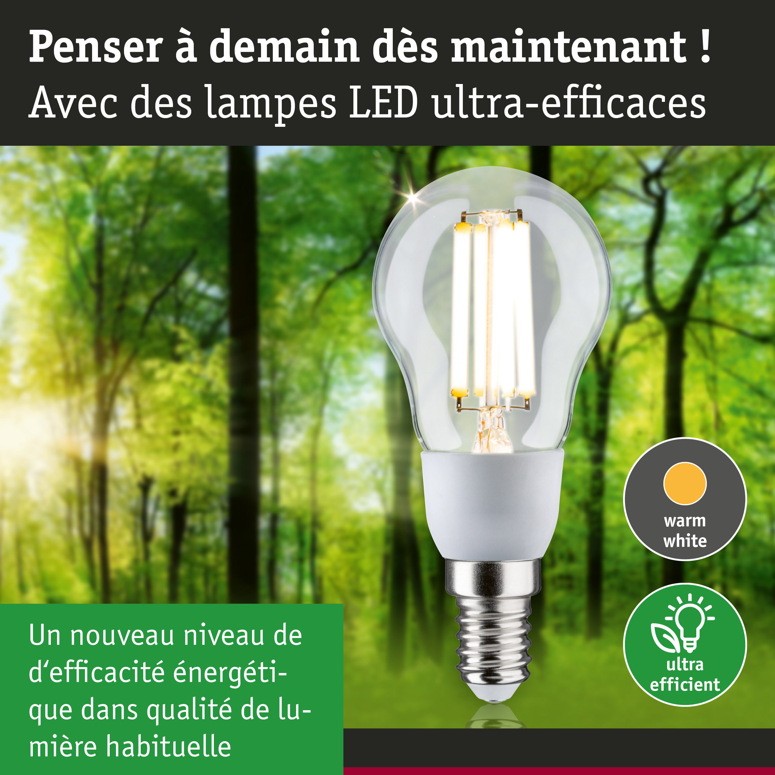 Ampoule LED à lumière blanc chaud et ultra-efficace sur fond de forêt verte