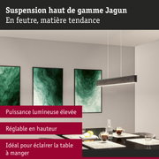 Suspension moderne en feutre gris, puissance lumineuse élevée, réglable en hauteur, idéale pour table à manger