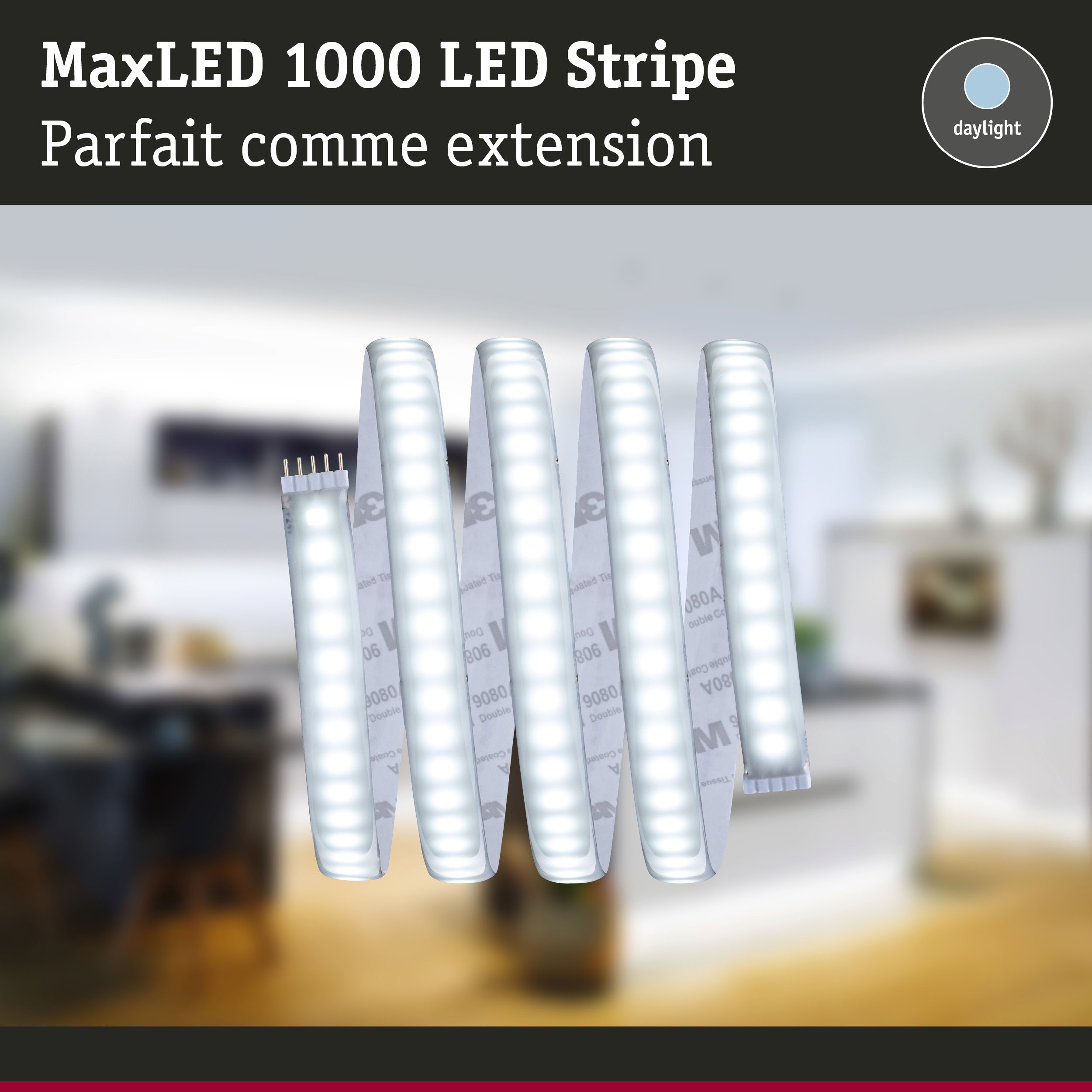 Bande LED MaxLED 1000 blanche avec lumière de jour, éclairage LED flexible pour intérieur