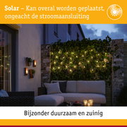 Gezellig terras met solarverlichting aan groene haag bij schemering