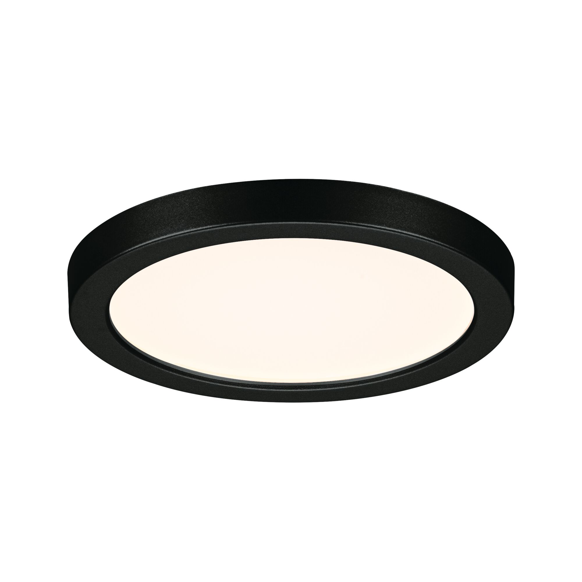 Ronde LED-plafondlamp met zwart metalen frame en warm wit licht voor moderne interieurs